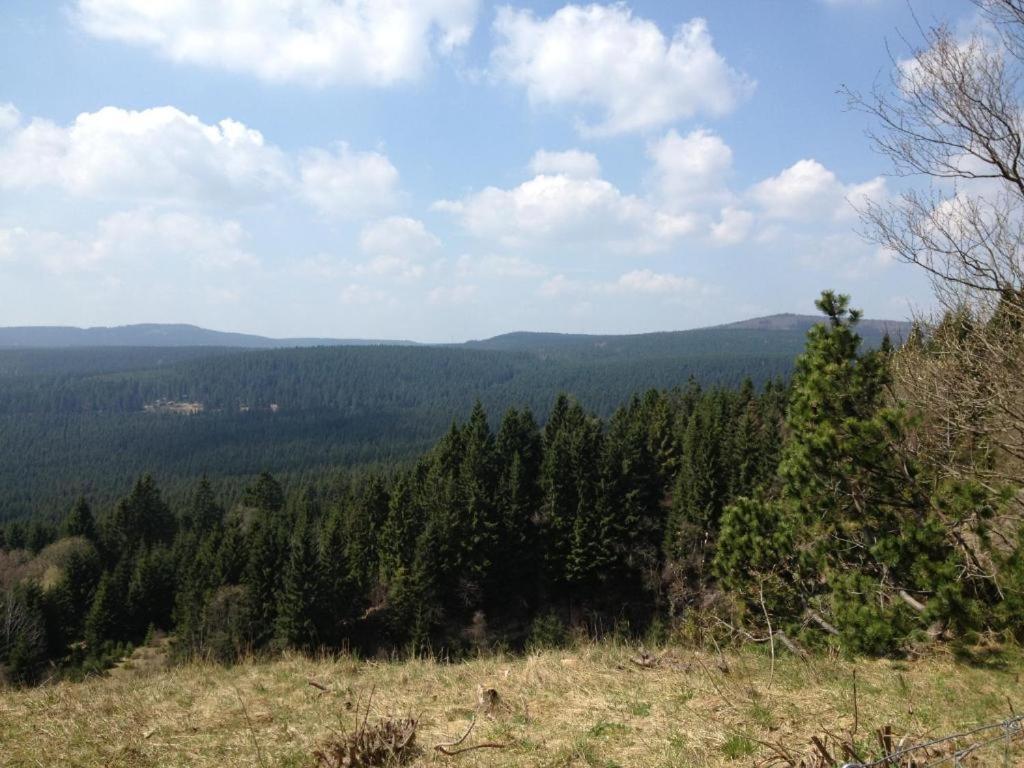 Hostel & Hotel Braunlage Exteriör bild