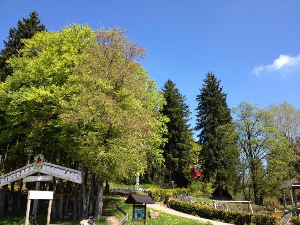 Hostel & Hotel Braunlage Exteriör bild